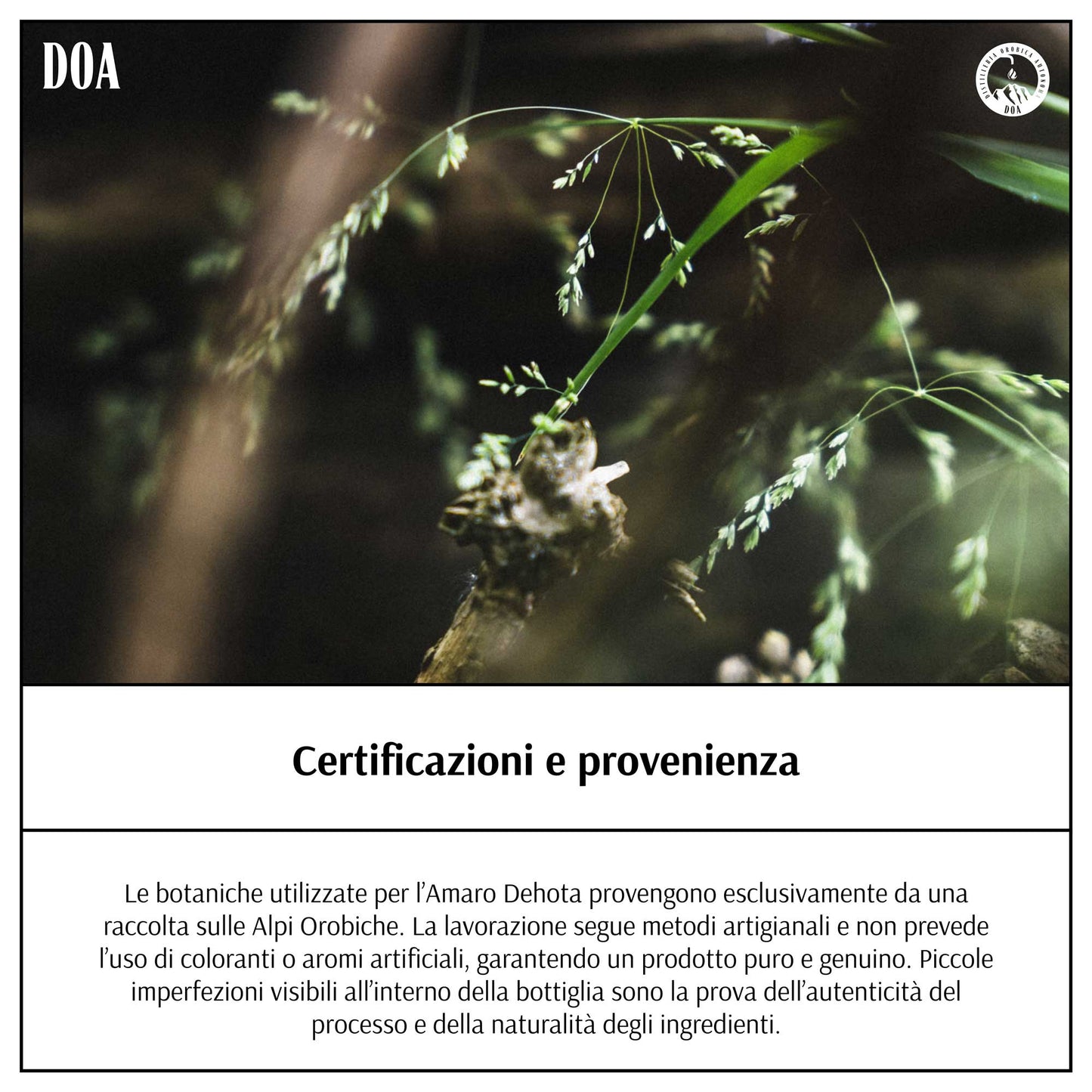 L'amaro Dehota