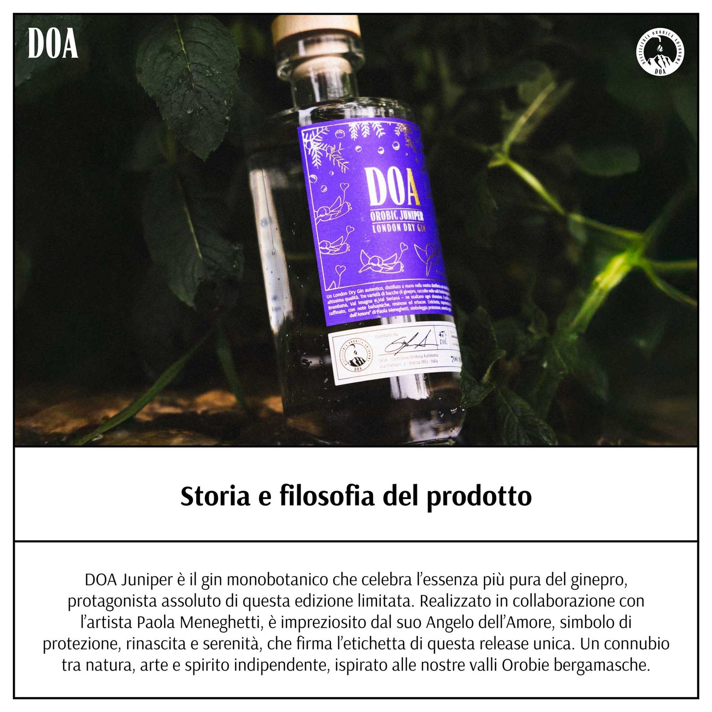 Orobic Juniper