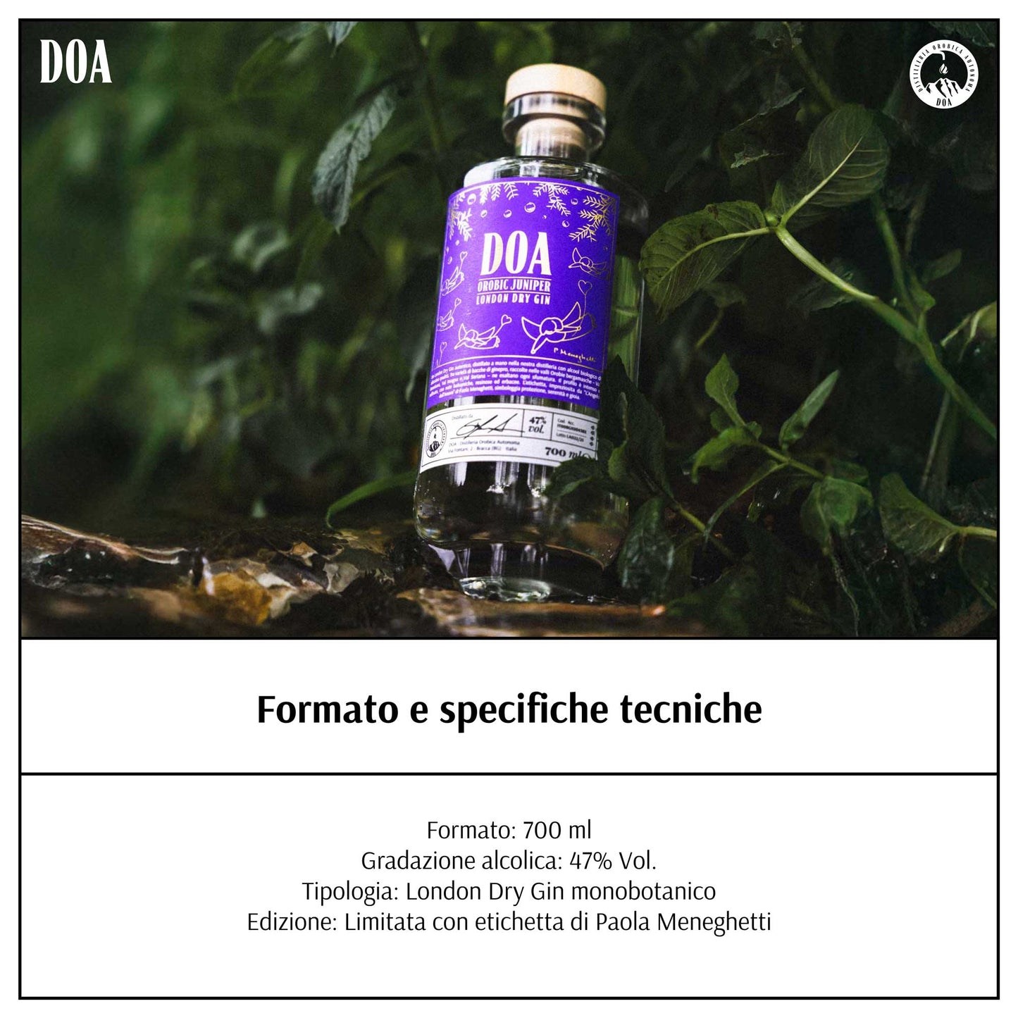 Orobic Juniper