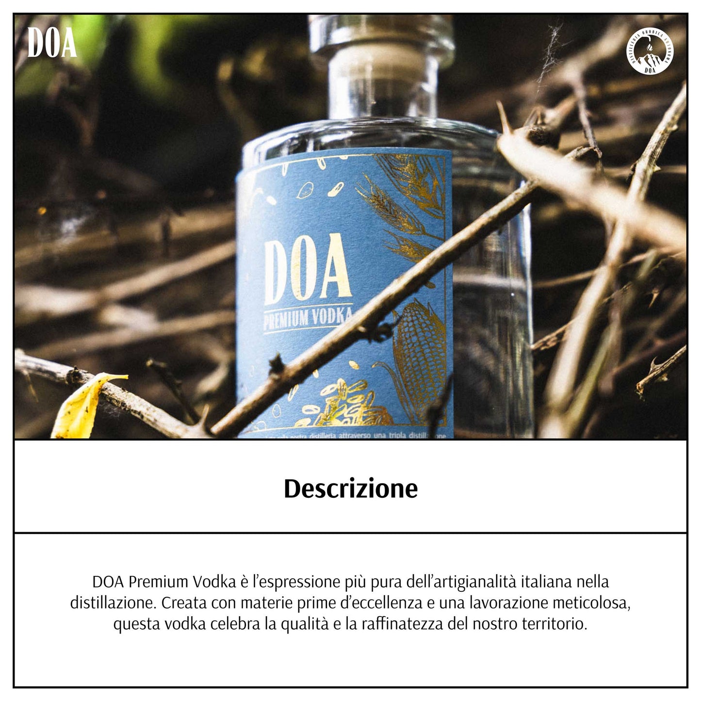 Premium Vodka