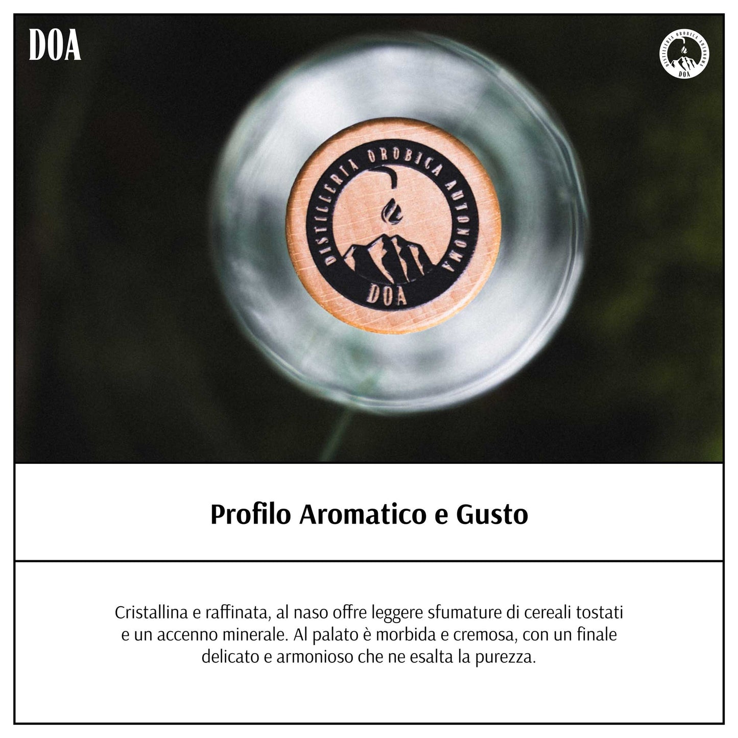 Premium Vodka