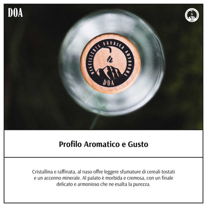 Premium Vodka